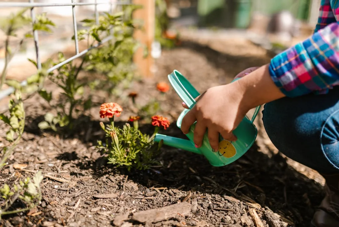 Narrabeen community planting
